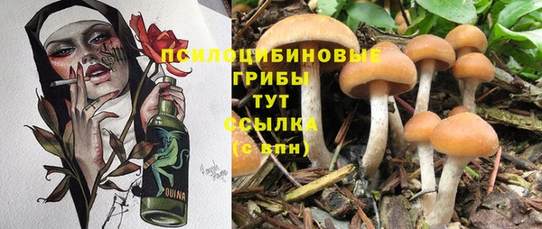 2c-b Корсаков